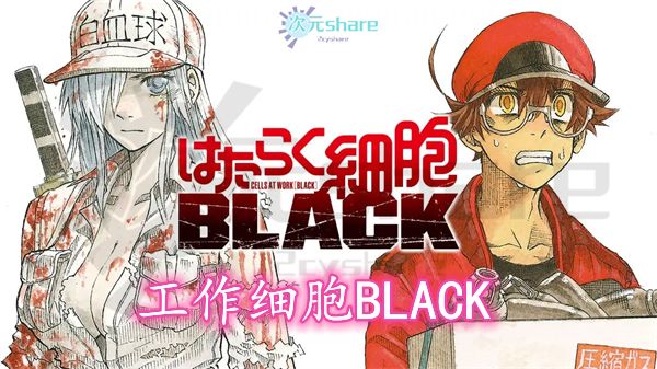 工作细胞BLACK（Cells at Work! Code Black）｜2021年1月番剧-二次元共享站2cyshare