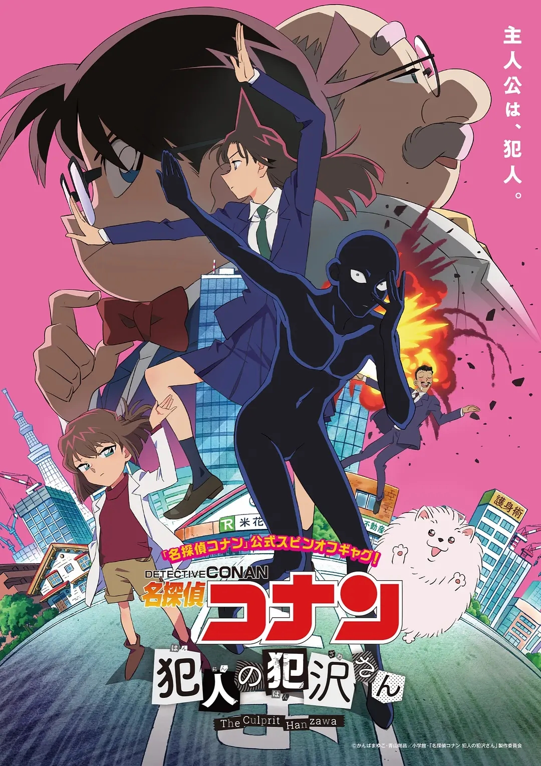 名侦探柯南番外-犯人犯泽先生   01-12集 1080P 简体 MP4  2022年10月新番-二次元共享站2cyshare