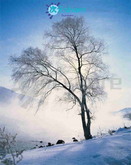 山河风景城市风景高清照片（220张）阿里云盘下载