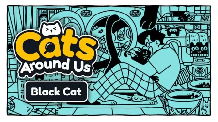 我们身边的猫：黑猫|Cats Around Us: Black Cat