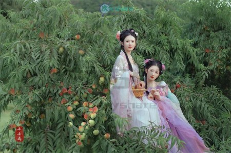 汉服图片（29合集）阿里云盘下载