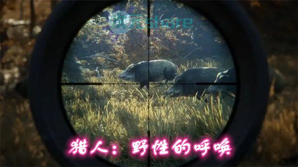 猎人：野性的呼唤 2019版+升级档Build1681978 +[目前全DLC 2019.6.3] PC游戏网盘分享-二次元共享站2cyshare