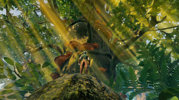 《小小世界：原野求生 Smalland: Survive the Wilds》v2.1.2【单机+联机】丨中文版网盘下载-次元share