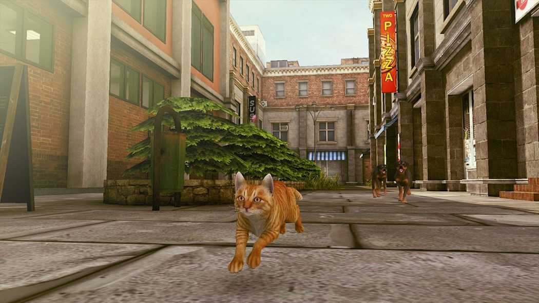 小猫大营救2|Little Strays 2中文-次元share