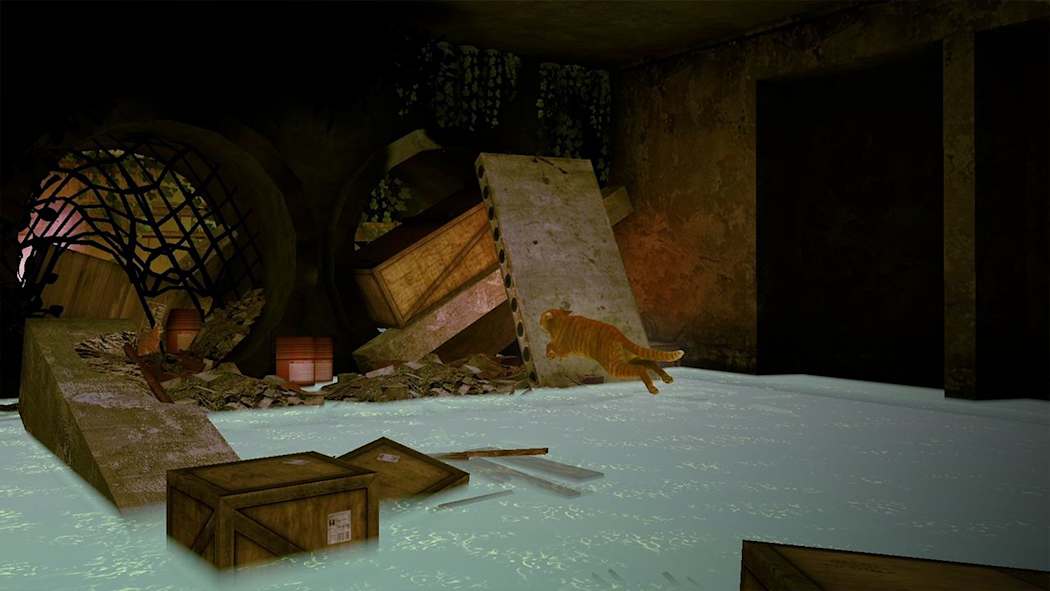 小猫大营救2|Little Strays 2中文-次元share
