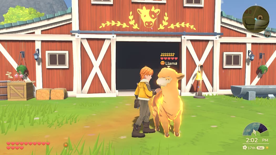 丰收之月：特拉迪亚的回响|牧场物语：特拉底亚回响|Harvest Moon: Echoes of Teradea中文-次元share