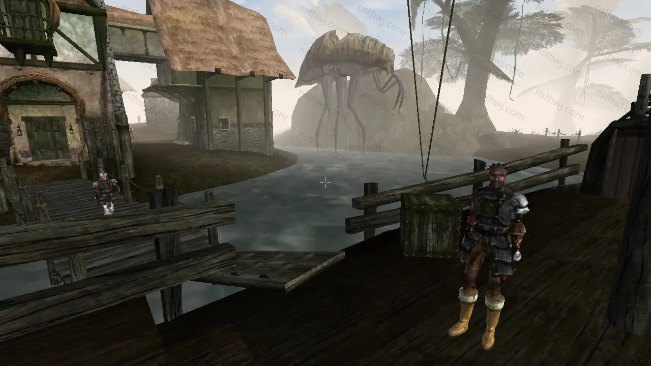 [移植游戏]上古卷轴3：晨风|The Elder Scrolls III: Morrowind汉化-次元share
